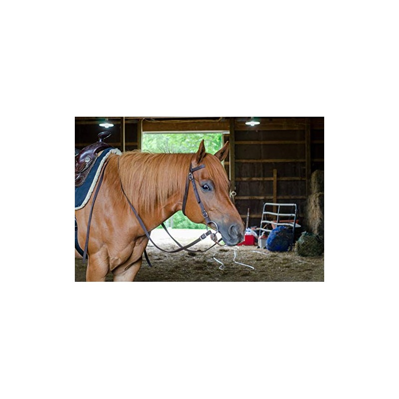 Tahoe Tack Plain Double Layer Nylon Headstall with Reins, Multiple