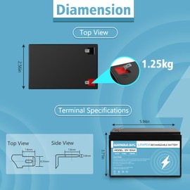 12V 10Ah Lithium LiFePO4 Deep Cycle Battery, 2000+ Cycles Rechargeable Battery for Small UPS, Lighting, Solar/Wind Power, Power Wheels, Fish Finder Built-in 10A BMS (1 PACK 12V 10Ah)