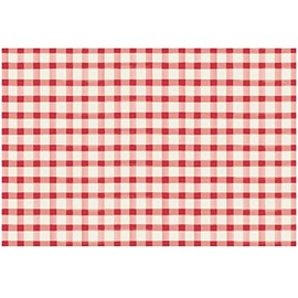 Hester & Cook Paper Placemats for Dining Table - Red White Buffalo Check Plaid Pattern Place Mats for Parties - 24 Sheets Per Pad American Made