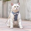 PERANNU Correa para Gato, Cómodo ArnéS para Perro con Correa,