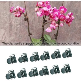 Pinzas para Plantas, 100 Pinzas para Orquídeas, Pinzas para Soporte de Orquídeas para Plantas, Mini Tallos de Plástico, Pinzas para Tallo, Clips para Crecer en Posición Vertical, para Flores Y Enredad