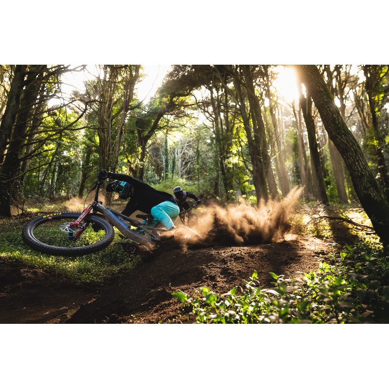 Mallet DH Bike Pedal Pair, Black