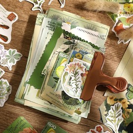 Alideco 260pcs Vintage Scrapbook Supplies Pack for Art Journaling Bullet Junk Journal Planners DIY Paper Stickers Craft Kits Notebook Collage Album Aesthetic Cottageco (zhiwuxuejia)