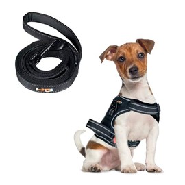 Pechera Arnes + Correa para Perro Grande Mediano Chico | Pechera Ajustable Antitirones Resistente para Paseo Entrenamiento | Correa con Mango de Control (Negro, Chica)