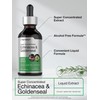 Horbäach Echinacea Goldenseal Liquid Tincture Drops | 2 fl oz