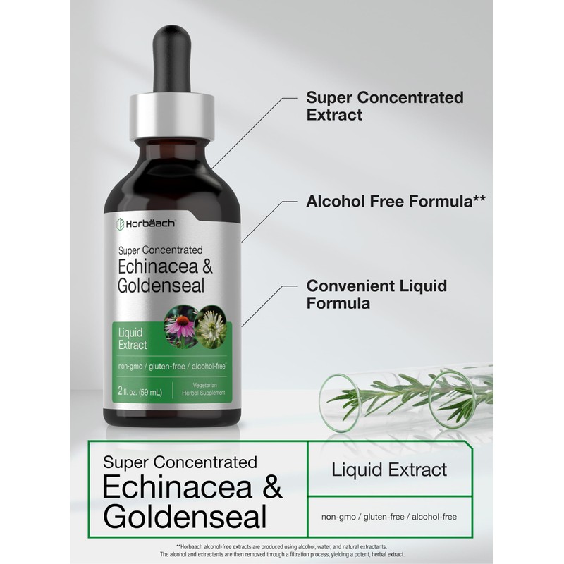 Horbäach Echinacea Goldenseal Liquid Tincture Drops | 2 fl oz