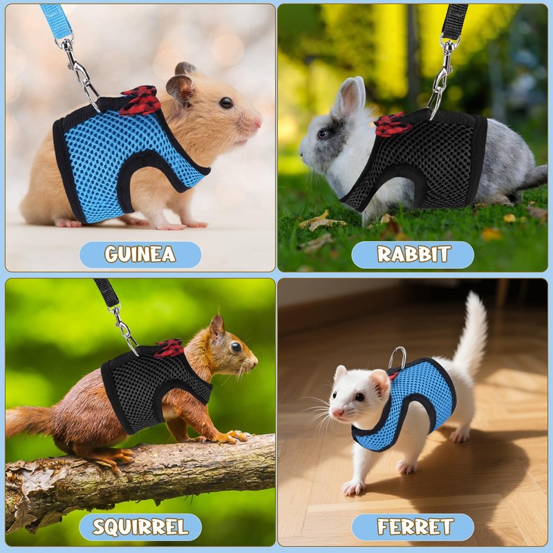 Guinea Pig Harness and Leash, Guinea Pigs Harness, Guinea Pig