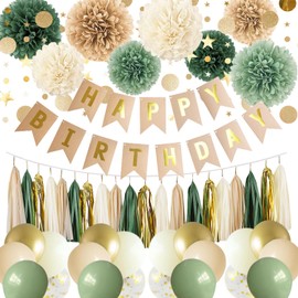 Sage Green Birthday Party Decorations for Women Girls with Happy Birthday Banner,Tissue Paper Pompoms, Paper Tassel,Star Circle Dot Hanging Garland,Birthday Balloons for Party Decor