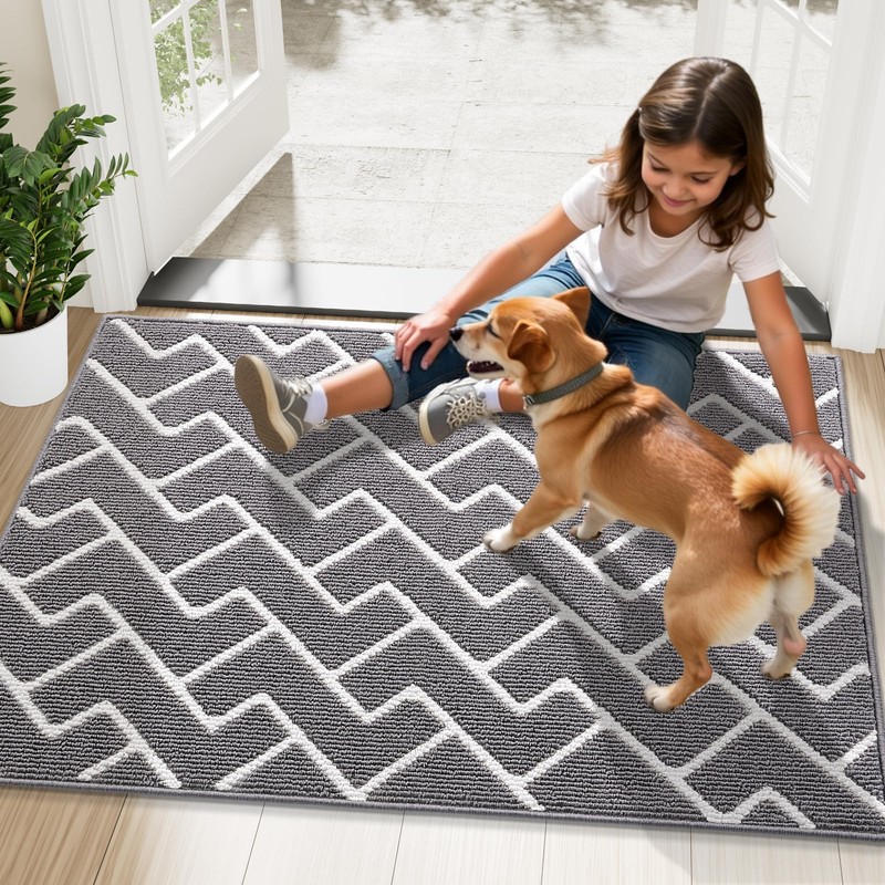 OLANLY Front Door Mat, Non-Slip Rubber Backing, Dirt Resistant and