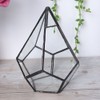 Stylish Geometric Shape Flowerpot Glass Plant Planter Succulent Plants Container