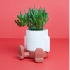 balvi Mini Flower Pot Mr Sitty Colour Red At The
