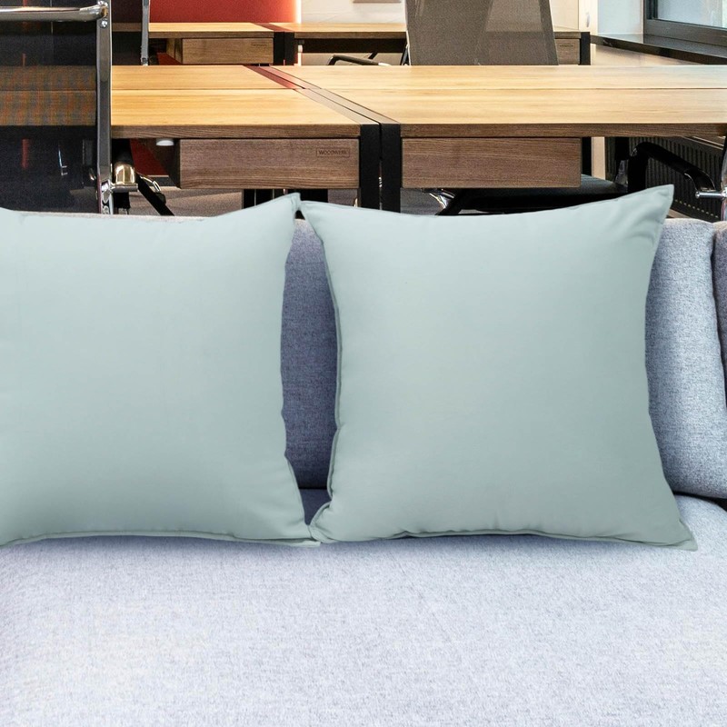 Betadistor Velvet Cushion Covers 18X18 Inch: 2 Pack Throw Pillow
