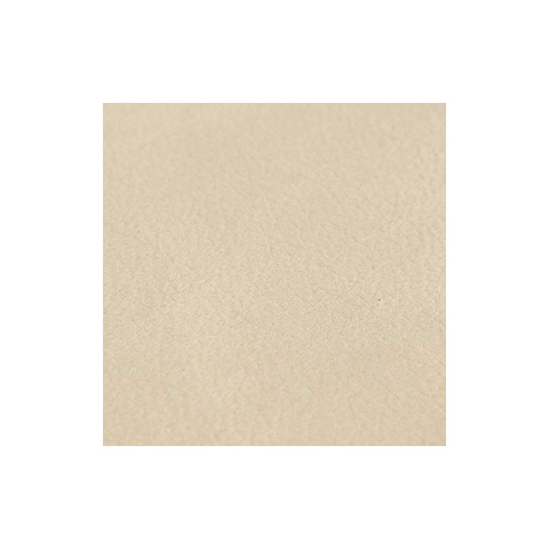 LIND DNA 981183 Curved Coaster NUPO 5.1 inches (13 cm)