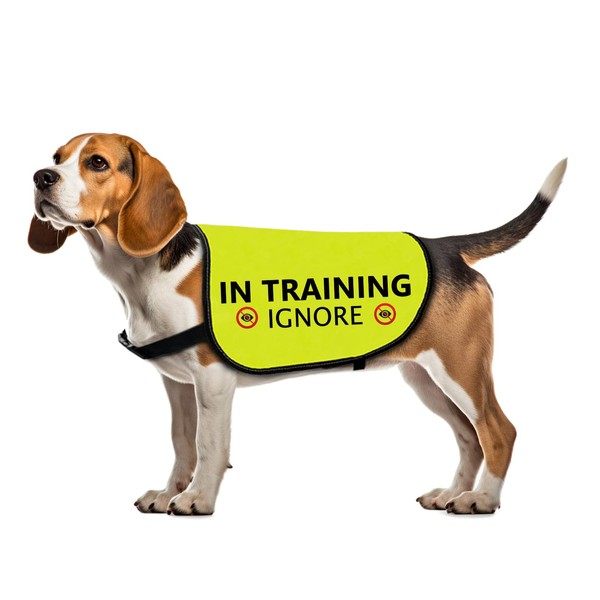 Training Dog Jacket Vest - Ignore Walking Slogan Warning (in