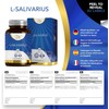 LN Lactobacillus Salivarius | 90 Lactobacillus Salivarius Probiotic Capsules -
