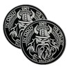 2 PCS AliPlus Viking Patches in Odin We Trust Valhalla