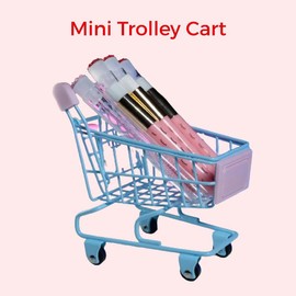 Lash Studio - Mini Shopping Trolley Cart