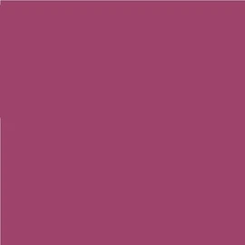Pack of 2 Lee No. 127 Smoky Pink - 24 x 24 cm Transparent Heat Resistant Coloured Film for Photo Studio PAR 64 Headlights - Gel Colour Filter Film (Pack of 2, Lee 127 Smoky Pink)