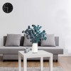Eucalyptus Dried Flowers Eternal Durability Dried Flowers Bouquet Decoration Home