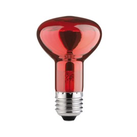 Paulmann 82976 Reflector R63 40W E27 230V Infrared, 40 W, Red