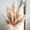 Decorative Tall Pampas Grass for Floor Vase – Premium Large