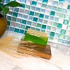 Earth Sabun Natural Handmade Pumpkin Fiber Aloe Vera Loofah for