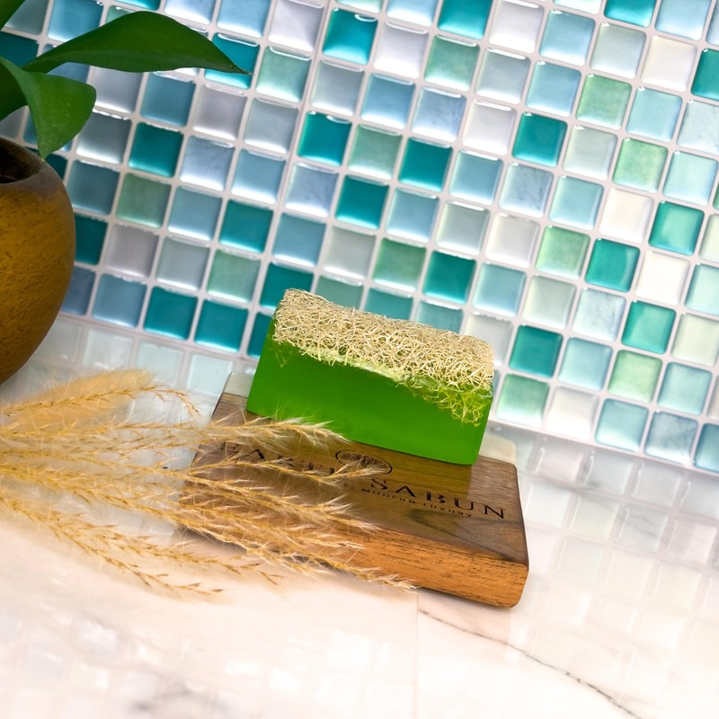 Earth Sabun Natural Handmade Pumpkin Fiber Aloe Vera Loofah for