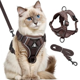 Katzengeschirr mit Leine Ausbruchsicher, Katzengeschirr mit Leine Set, Verstellbar Katze Brustgeschirr mit Reflektierend Streifen & Atmungsaktiv Netzgewebe, für Katzen Kätzchen Welpen (M)