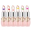 FirstFly - Juego de 6 lápices labiales nutritivos de larga