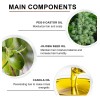 Generic - Cuidado Capilar Hidratante Con Aceite De Ricino Prensado