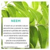 Shampoo Neem anticaida 350ml Tonico capilar ortiga 60ml