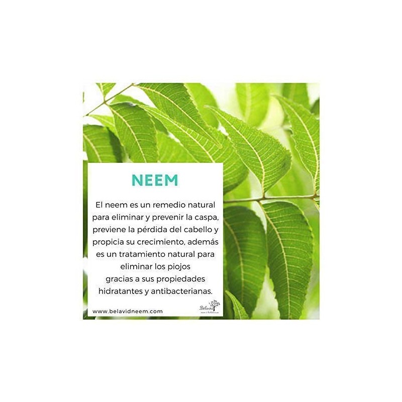 Shampoo Neem anticaida 350ml Tonico capilar ortiga 60ml