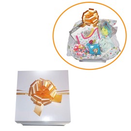 Gifts Are Blue Baby Girl Bundle Box Gift Set - 10 Items