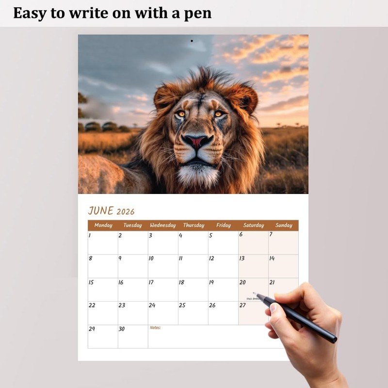 Animal Selfies Calendar 2026 A4 12 Month to View Wall
