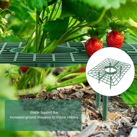 20 Pack Strawberry Plant Support, Strawberry Growing Racks with 4 Sturdy Legs Strawberry Growing Frame Keep Berries Protector Strawberry Growing Frame Holder Cage