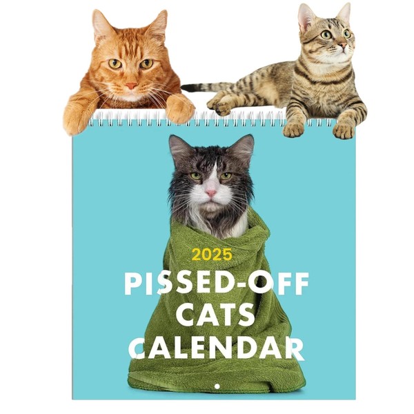 12 Month Cat Calendar 2025, Funny Monthly Paper Planner Wall