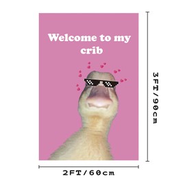 Welcome to My Crib Flag Hip Hop Sunglasses Dizzy Duck Funny Banner For Room Durable Man Cave Wall With Brass Grommets For College Dorm Room Decor (D4)