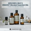 Peppermint Lavender 10ml Aroma Blend Incent Essential Oil 10ml