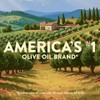 Pompeian Bold Spanish Extra Virgin Olive Oil - 16 fl