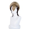 Aicos Zanka Cosplay Wig Costume Short Dark Brown Wig Role