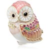 PIEARTH EX447-1 Jewelry Box, Large, Owl Pink, Zinc