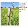 Momodoja Tree Plant Support Ties, 1/2 in. x 100 ft.