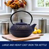 YJX 84.6oz/2500ml Big Cast Iron Tea Kettle for 5 to