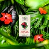 Good Earth Sensorial Hibiscus, Rose & Sweet Berries Herbal Tea,
