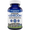 Stonehenge Health Dynamic Mushrooms - 100% Fruiting Bodies & Extracts