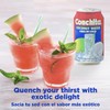 Conchita Coconut Water - Refreshing Tropical Drink - 10.4 oz