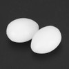 Brood Induced Pigeon Eggs, Fake 50 Pieces Plastic Pigeon Eggs