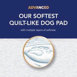Scott Pet Guard Advanced Dog Pads - Dog Training Pee Pads for Puppies, Medium & Large Dogs - Up to 16 Hour Absorbency with Odor Control - Softest Quilted Dog Pee Pads - XL - 30" x 36" - 40 Pack
