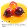Kormesic Kit Batana Hair Mask & Oil 120g + 30ml