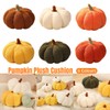 AIMALL Pumpkin Shaped Plush Cushion, 9.05 Inch Wide Colourful Home